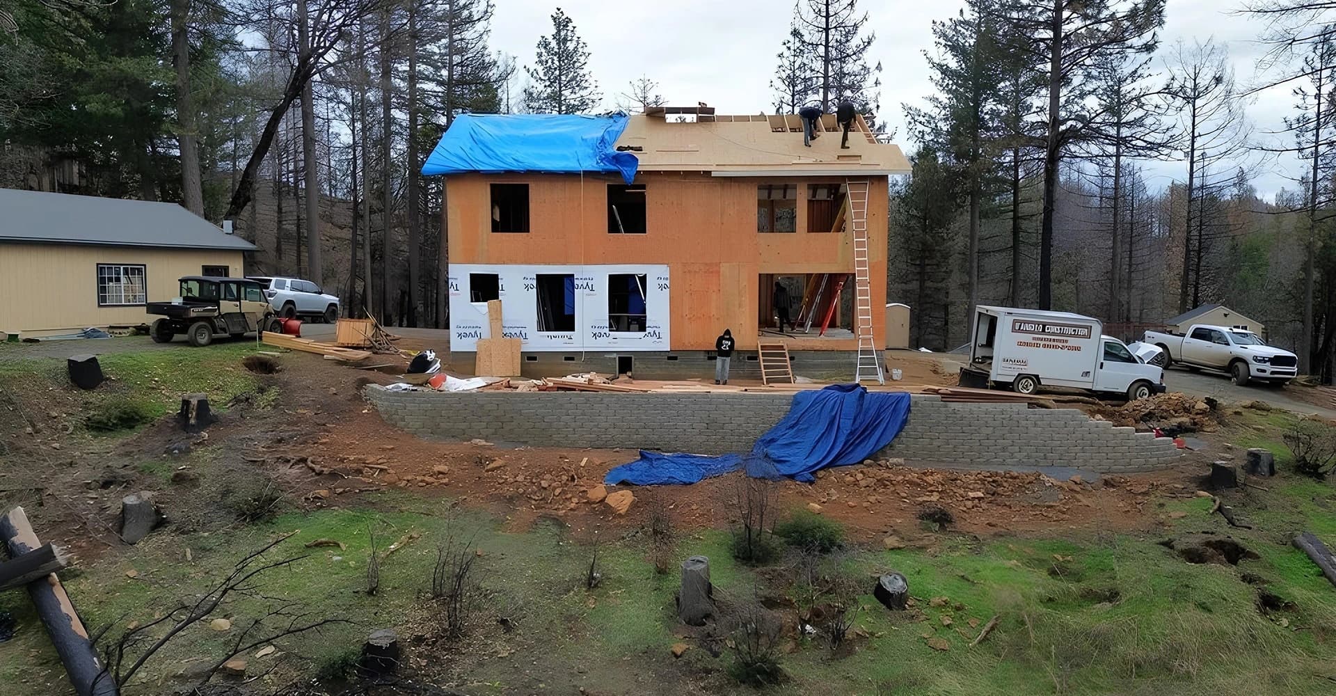 Nature Integration background